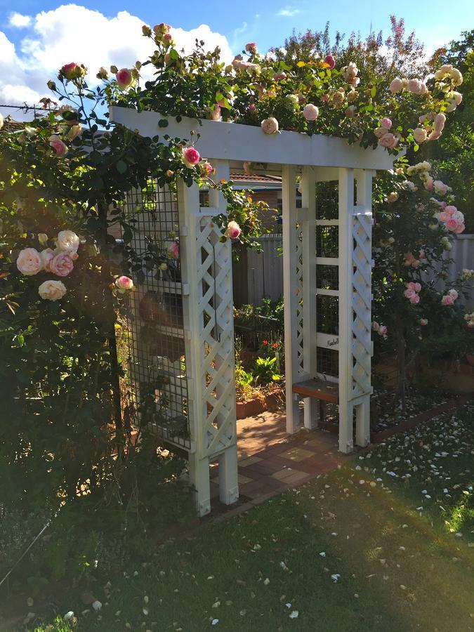 Exley House B&B Perth Exterior foto
